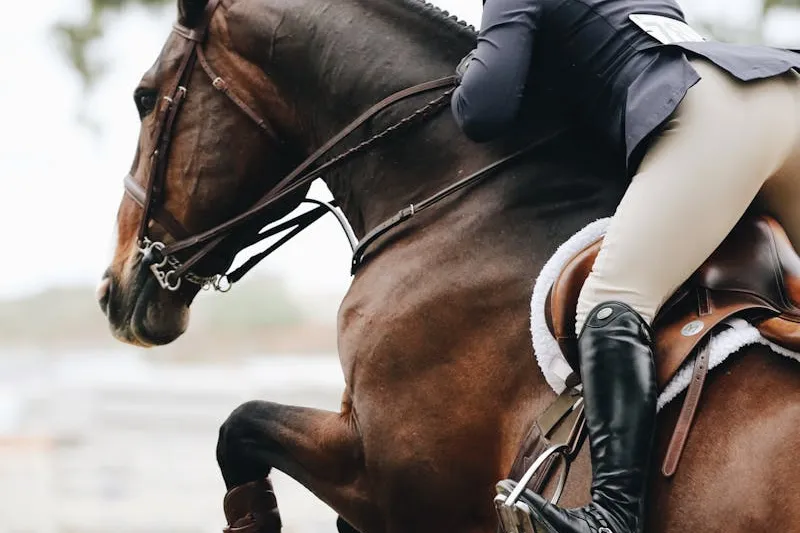 Bliss of London saddle