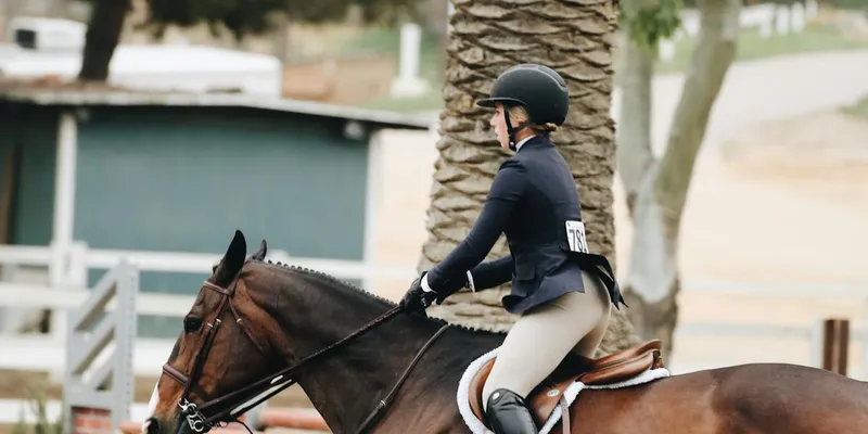 Horse and rider in harmony