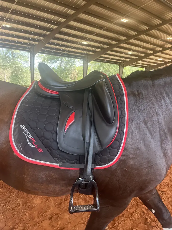 A properly fitted Erreplus dressage saddle at work